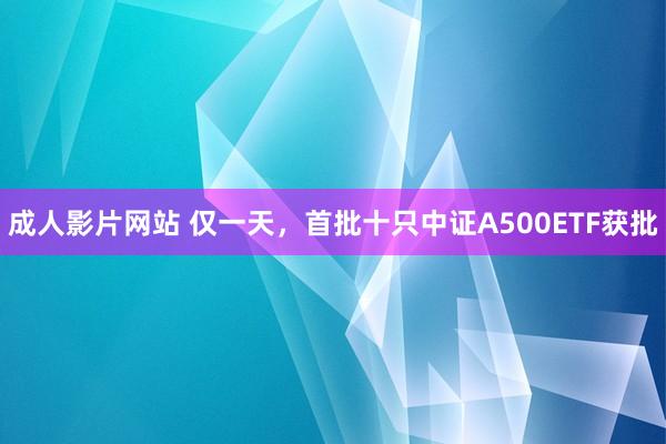 成人影片网站 仅一天，首批十只中证A500ETF获批