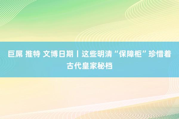 巨屌 推特 文博日期丨这些明清“保障柜”珍惜着古代皇家秘档