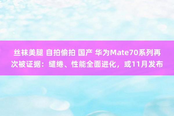 丝袜美腿 自拍偷拍 国产 华为Mate70系列再次被证据：缱绻、性能全面进化，或11月发布