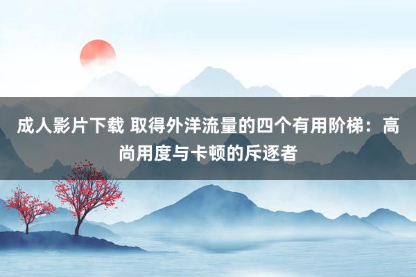 成人影片下载 取得外洋流量的四个有用阶梯：高尚用度与卡顿的斥逐者