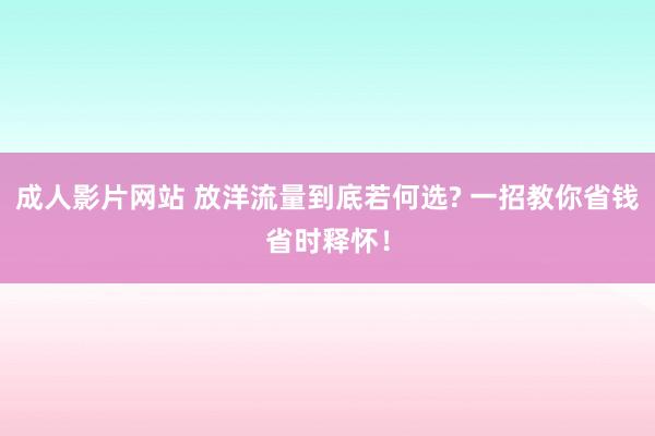 成人影片网站 放洋流量到底若何选? 一招教你省钱省时释怀！