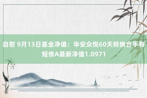 自慰 9月13日基金净值：华安众悦60天转换合手有短债A最新净值1.0971