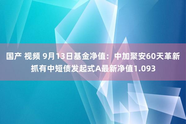 国产 视频 9月13日基金净值：中加聚安60天革新抓有中短债发起式A最新净值1.093