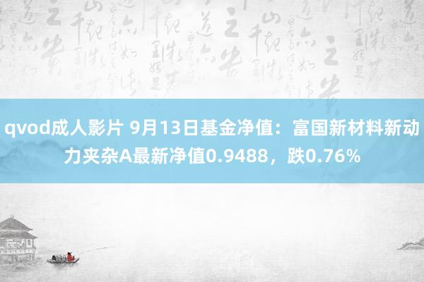 qvod成人影片 9月13日基金净值：富国新材料新动力夹杂A最新净值0.9488，跌0.76%