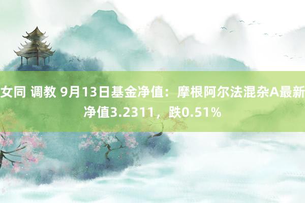 女同 调教 9月13日基金净值：摩根阿尔法混杂A最新净值3.2311，跌0.51%