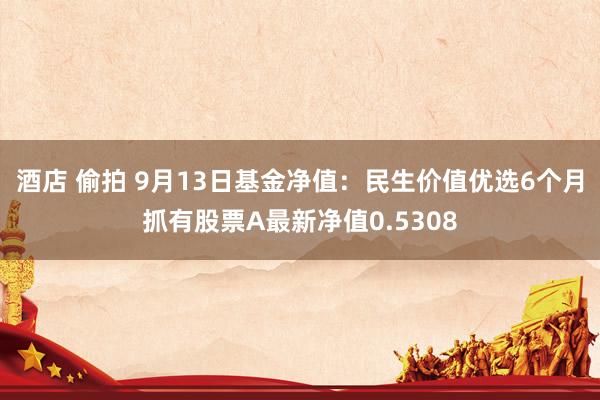 酒店 偷拍 9月13日基金净值：民生价值优选6个月抓有股票A最新净值0.5308