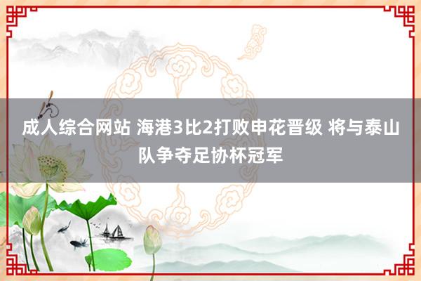 成人综合网站 海港3比2打败申花晋级 将与泰山队争夺足协杯冠军