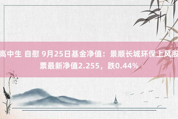 高中生 自慰 9月25日基金净值：景顺长城环保上风股票最新净值2.255，跌0.44%