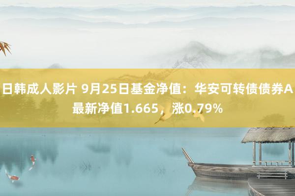 日韩成人影片 9月25日基金净值：华安可转债债券A最新净值1.665，涨0.79%