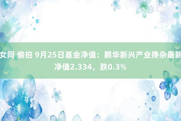 女同 偷拍 9月25日基金净值：鹏华新兴产业搀杂最新净值2.334，跌0.3%