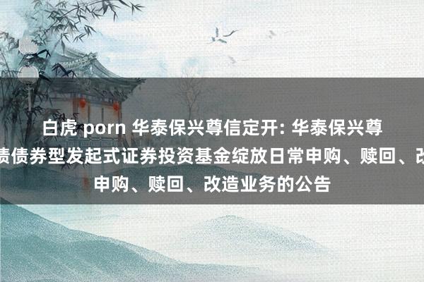 白虎 porn 华泰保兴尊信定开: 华泰保兴尊信如期绽放纯债债券型发起式证券投资基金绽放日常申购、赎回、改造业务的公告