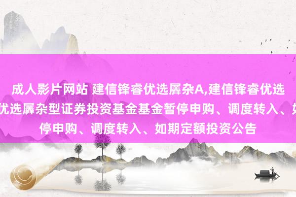 成人影片网站 建信锋睿优选羼杂A，建信锋睿优选羼杂C: 建信锋睿优选羼杂型证券投资基金基金暂停申购、调度转入、如期定额投资公告