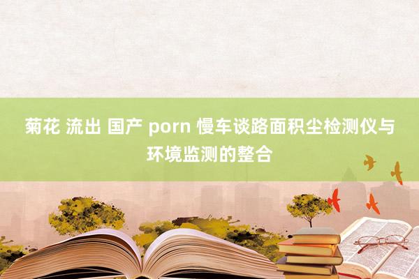 菊花 流出 国产 porn 慢车谈路面积尘检测仪与环境监测的整合