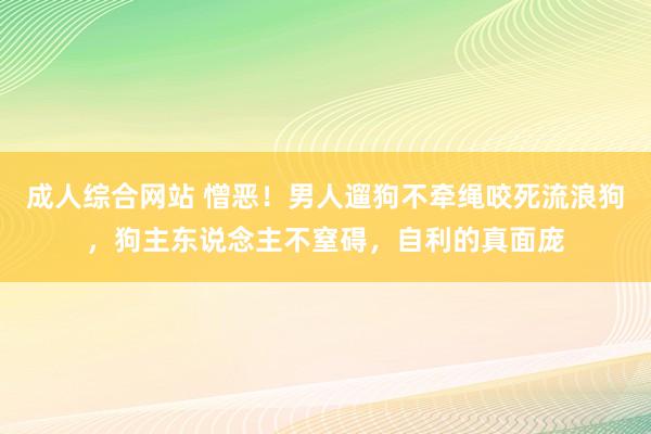 成人综合网站 憎恶！男人遛狗不牵绳咬死流浪狗，狗主东说念主不窒碍，自利的真面庞