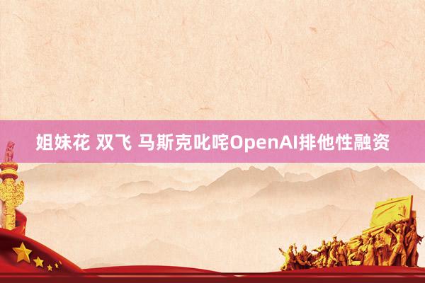 姐妹花 双飞 马斯克叱咤OpenAI排他性融资