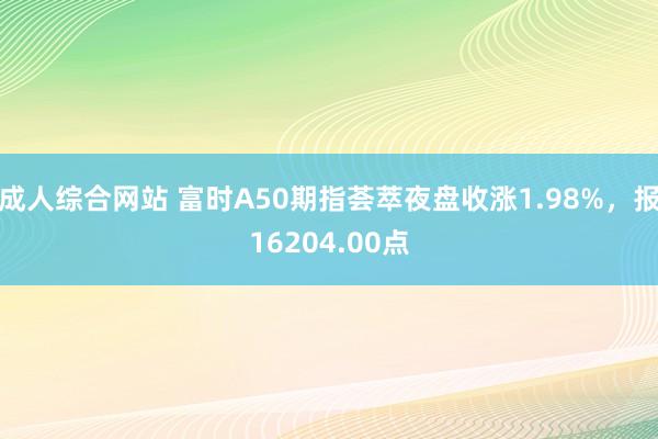 成人综合网站 富时A50期指荟萃夜盘收涨1.98%，报16204.00点