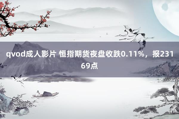 qvod成人影片 恒指期货夜盘收跌0.11%，报23169点