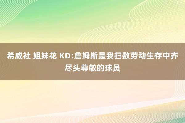 希威社 姐妹花 KD:詹姆斯是我扫数劳动生存中齐尽头尊敬的球员