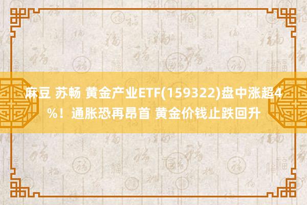 麻豆 苏畅 黄金产业ETF(159322)盘中涨超4%！通胀恐再昂首 黄金价钱止跌回升