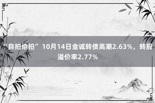 “自拍偷拍” 10月14日金诚转债高潮2.63%，转股溢价率2.77%