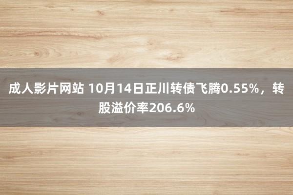 成人影片网站 10月14日正川转债飞腾0.55%，转股溢价率206.6%