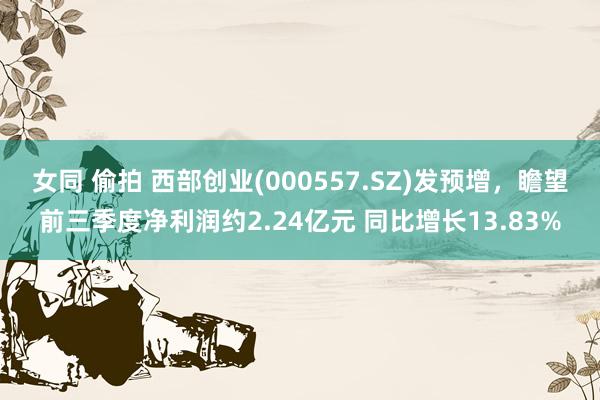 女同 偷拍 西部创业(000557.SZ)发预增，瞻望前三季度净利润约2.24亿元 同比增长13.83%