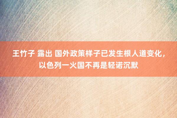 王竹子 露出 国外政策样子已发生根人道变化，以色列一火国不再是轻诺沉默