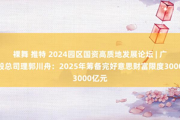 裸舞 推特 2024园区国资高质地发展论坛 | 广开控股总司理郭川舟：2025年筹备完好意思财富限度3000亿元