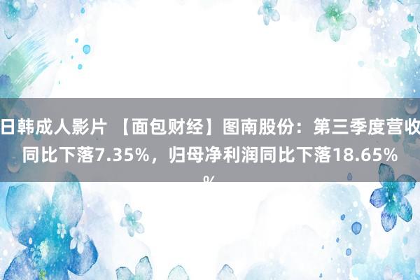 日韩成人影片 【面包财经】图南股份：第三季度营收同比下落7.35%，归母净利润同比下落18.65%