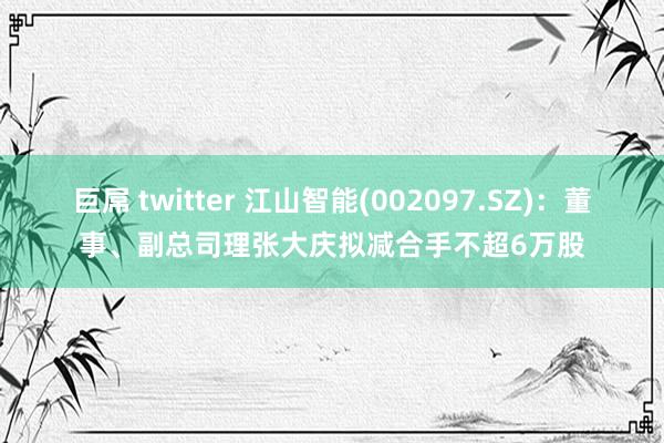 巨屌 twitter 江山智能(002097.SZ)：董事、副总司理张大庆拟减合手不超6万股