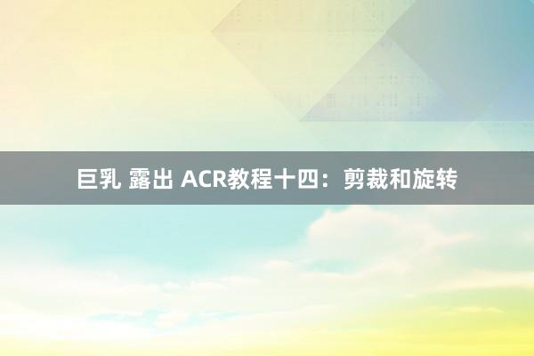 巨乳 露出 ACR教程十四：剪裁和旋转