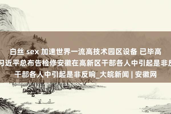 白丝 sex 加速世界一流高技术园区设备 已毕高水平科技自立自立——习近平总布告检修安徽在高新区干部各人中引起是非反响_大皖新闻 | 安徽网