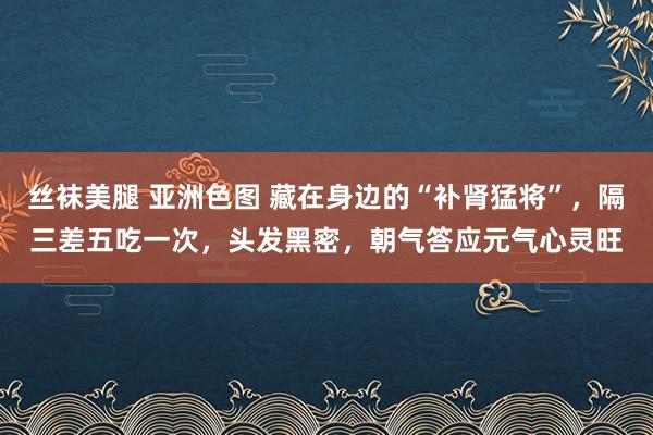 丝袜美腿 亚洲色图 藏在身边的“补肾猛将”，隔三差五吃一次，头发黑密，朝气答应元气心灵旺