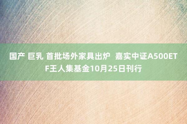 国产 巨乳 首批场外家具出炉  嘉实中证A500ETF王人集基金10月25日刊行