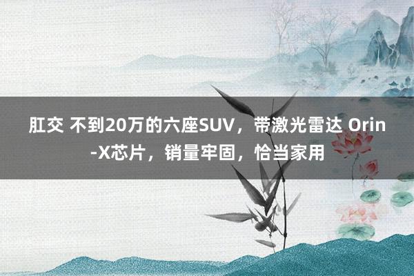 肛交 不到20万的六座SUV，带激光雷达 Orin-X芯片，销量牢固，恰当家用