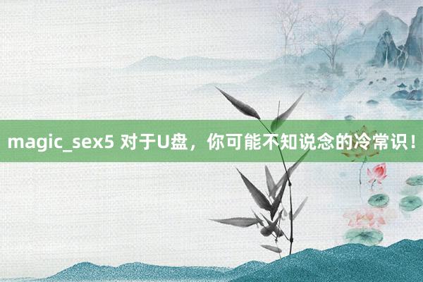 magic_sex5 对于U盘，你可能不知说念的冷常识！