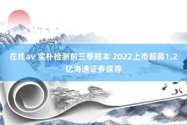 在线av 实朴检测前三季赔本 2022上市超募1.2亿海通证券保荐