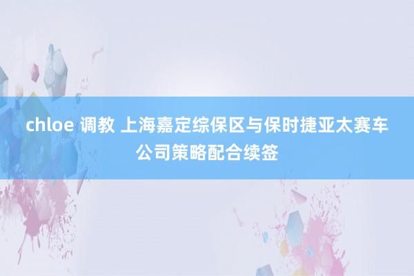 chloe 调教 上海嘉定综保区与保时捷亚太赛车公司策略配合续签