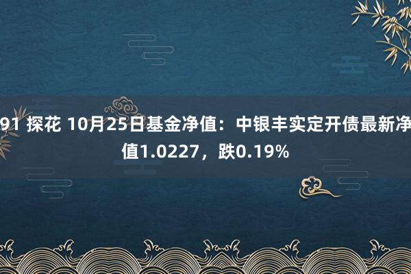 91 探花 10月25日基金净值：中银丰实定开债最新净值1.0227，跌0.19%