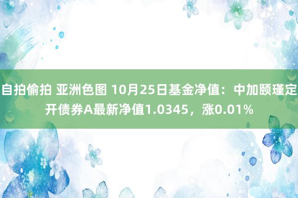 自拍偷拍 亚洲色图 10月25日基金净值：中加颐瑾定开债券A最新净值1.0345，涨0.01%