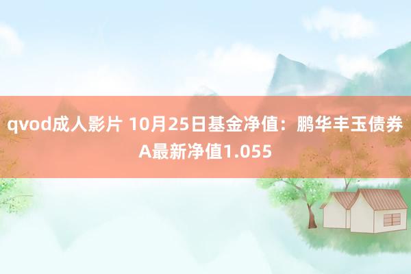 qvod成人影片 10月25日基金净值：鹏华丰玉债券A最新净值1.055