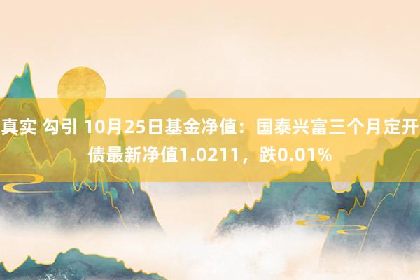 真实 勾引 10月25日基金净值：国泰兴富三个月定开债最新净值1.0211，跌0.01%