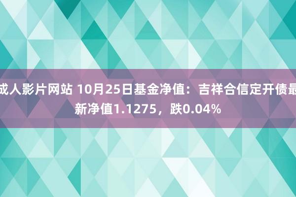 成人影片网站 10月25日基金净值：吉祥合信定开债最新净值1.1275，跌0.04%