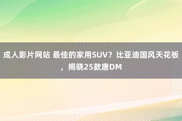 成人影片网站 最佳的家用SUV？比亚迪国风天花板，揭晓25款唐DM