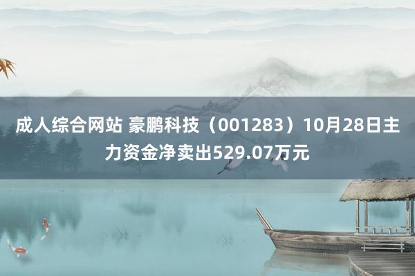 成人综合网站 豪鹏科技（001283）10月28日主力资金净卖出529.07万元