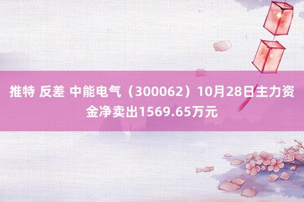 推特 反差 中能电气（300062）10月28日主力资金净卖出1569.65万元