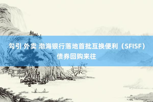 勾引 外卖 渤海银行落地首批互换便利（SFISF）债券回购来往