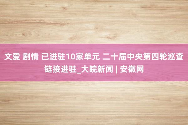 文爱 剧情 已进驻10家单元 二十届中央第四轮巡查链接进驻_大皖新闻 | 安徽网