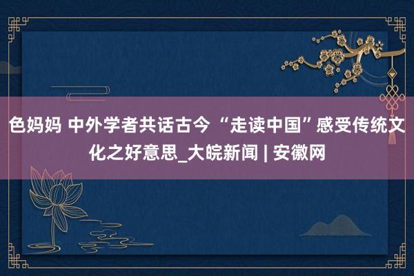 色妈妈 中外学者共话古今 “走读中国”感受传统文化之好意思_大皖新闻 | 安徽网