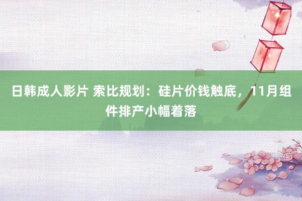 日韩成人影片 索比规划：硅片价钱触底，11月组件排产小幅着落